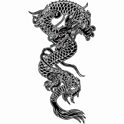 TATTOO Regulare 186(レギュラー)
