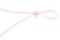 �K�N�h�J���[�X���b�V���}�X�N�@�z���C�g